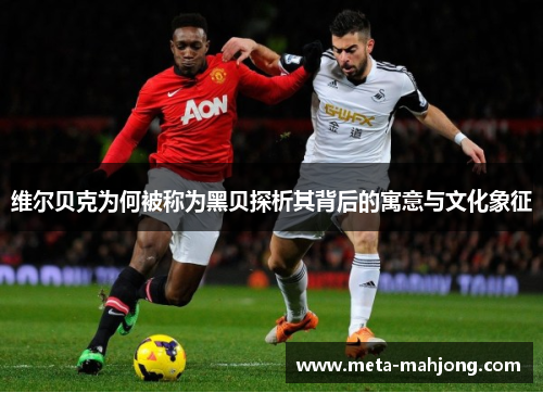 维尔贝克为何被称为黑贝探析其背后的寓意与文化象征 维尔贝克为何被称为黑贝探析其背后的寓意与文化象征