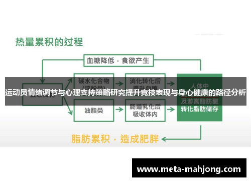 运动员情绪调节与心理支持策略研究提升竞技表现与身心健康的路径分析 运动员情绪调节与心理支持策略研究提升竞技表现与身心健康的路径分析
